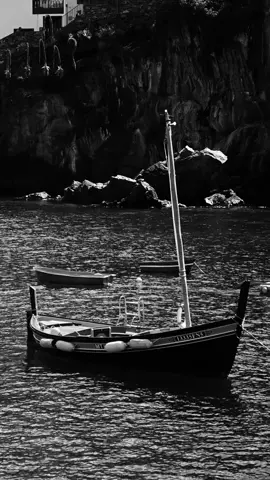 Villlage Boat #background #backgroundvideo #wallpaper #freevideo #wallpapervideo #livebackground #freewallpaper #boat 