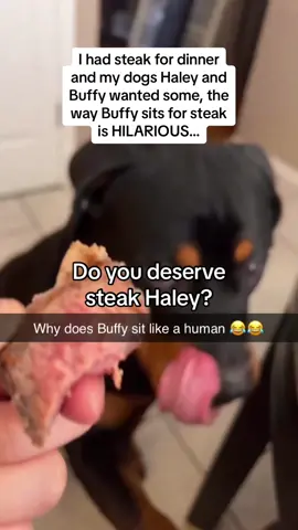 The way Buffy is sat at the end 🤣🤣🚨Follow @Pubity for your daily dose of uplifting content 🚨 #Pubity (Trisha Cruz via @ViralHog)