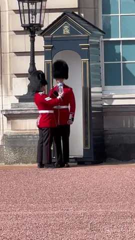 Guard receives water whilst on duty during high temperatures #wholesome #kingsguard #guard #heatwave #buckinghampalace #london 