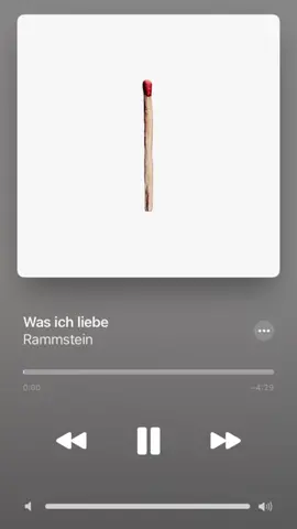 Was ich Liebe 🖤 #rammstein #wasichliebe #industrialmusic #metal #rammsteinfan #metalmusic 