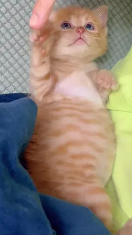 🥰