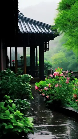 ✨☔️✨ #rainyday #fyp #relaxing #nature #foryou 