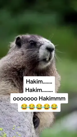 Nak try jugklh bnda viral nih😂😂