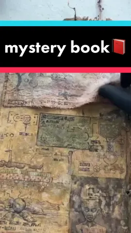 Thank you for your company✌️ #bookclub 📕📕#BookTok #buch #bücher #oldbooks #fypbook #📜 #schroll #bookgram #document 