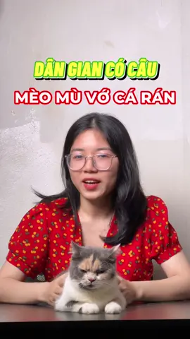 Có nên cho mèo ăn nhiều cá?? #cat #pet #limmeo #LearnOnTikTok #fyp 