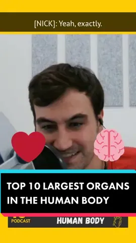 Why was the heart 🫀 chosen as the symbol of love when it really should have been the prostate all this time? EPISODE 201: TOP 10 LARGEST ORGANS IN THE HUMAN BODY. Listen now on any podcast app.  #podcast #podcasts #podcastclips #comedypodcast #funnypodcast #podcastreccomendation #funfacts #trivia #themoreyouknow #science 