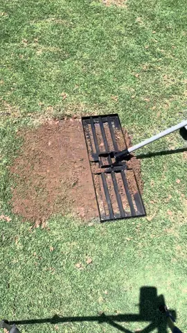 Bermuda Sprigs 