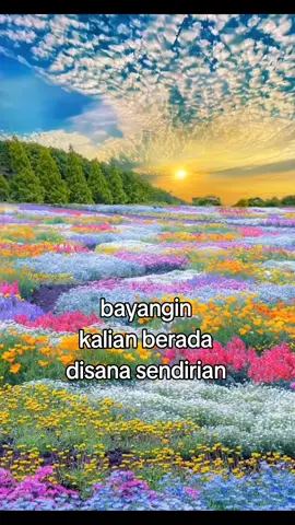 apa yang bakalan kalian lakukan kalo berada disana sendirian dengan vibes seindah itu ?  #fyp #aesthetic #vibes #views #fypシ #pemandangan #alam 