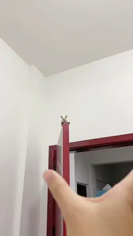 What would you do?