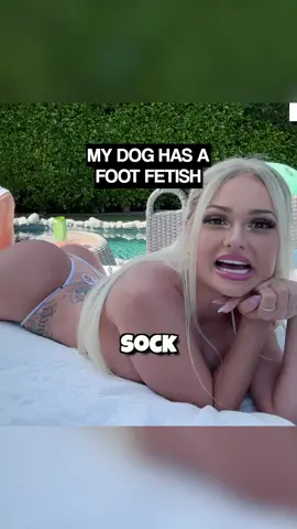 My dogs obsessed 😂#fyp #fypシ #trending #viral #funny #animals