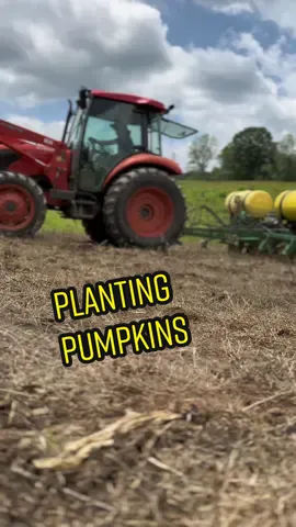 @Tucker.Beamer #farmer #pumpkinfarmer #pumpkinplanting #plantingseason 