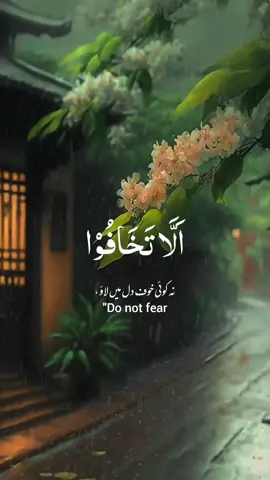 Episode__208💕 #Quran #عبدالرحمن_مسعد 