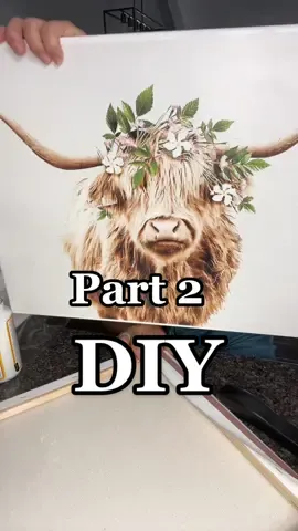 Part 2 of the DIY wall decor home project on a budget. #fy #homedecor #homewalldecor #walldecor #DIY #diyproject #diydecor #diydecorideas #homedecoronabudget #shein #hairycows #bougieonabudget 