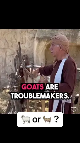 The sheep recognize the shepherds voice! Are you a 🐑 or a 🐐 ?#christianitytiktok✝ #christianitytiktok #christianitytiktok✝️gospel #jesuslovesyou #christian #fyp #fypシ #faithfulfriends❤ #👉✝️🔥 