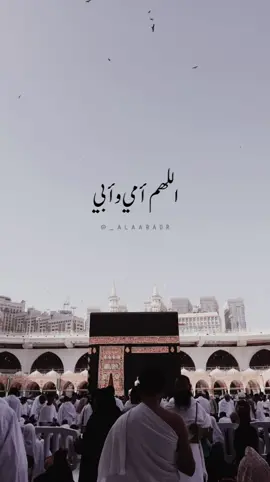 اللهم أمي وأبي يارب العالمين 🤍 #دعاء_للوالدين #دعاء_لأمي #دعاء_لأبي #عشر_ذي_الحجة #يوم_عرفة #عرفات #ذي_الحجة #دعاء_يريح_القلوب #دعاء_جميل #دعاء_للأبناء #يوم_عرفه #لبيك_اللهم_لبيك_لبيك_لا_شريك_لك #لبيك_اللهم_لبيك #اكسبلور #اكسبلورexplore #fyp #oops_alhamdulelah #بسلام_آمنين 