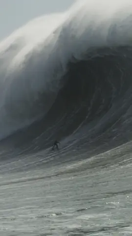 Relembrando essa onda Gigante surfada pelo @masonhycebarnes no dia 25/02/22 😱 Deixe seu comentário sobre essa onda !!  #gigantesdenazarenotiktok #gigantesdenazare #gigantesdenazaré 