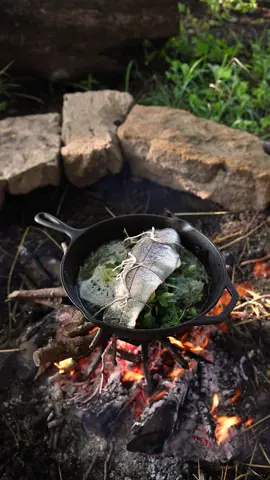 Campfire Herb & Lemon Stuffed Trout 🔥🐟 Full recipe on underatinroof.com 🌾 #campfirecooking #outdoorcooking #bushcrafting #cozycooking #cottagecorecooking #cookingasmr #campfire #trout #slowlivingvlog 