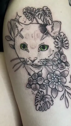 pet portrait for my lovely sister in law 🐱✨🖤 #fyp #fypシ #artistsoftiktok #femaletattooartist #tattoos #ohiotattooartist #foryou #electrumsupply #electrumtattoosupply #floraltattoo #naturetattoo #blackandgraytattoo #stippletattoo #animaltattoo #thightattoo #petportraitartist #petportraittattoo #cattattoo #pettattoo 