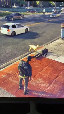 Did you know THIS about Watch Dogs 2? #watchdogs #watchdogs2 #dogs #dog #gaming #videogames #playstation #xbox #pcgaming 