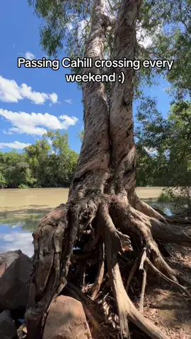 Who know this DEADLY crossing!? #fypシ゚viral #foryoupage #cahillscrossing #NT #australia #crocodile #nativetiktok #indiginous #abouriginal🖤💛❤️ 