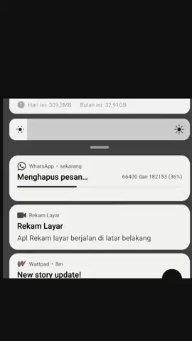 finally.#CapCut#gamon#gamonvibes#trend#hapuschatmantan #galaubrutal 