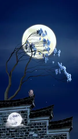 Please help me describe the beautiful picture of the moon #scenery #moon #cute #fyp #foryou 