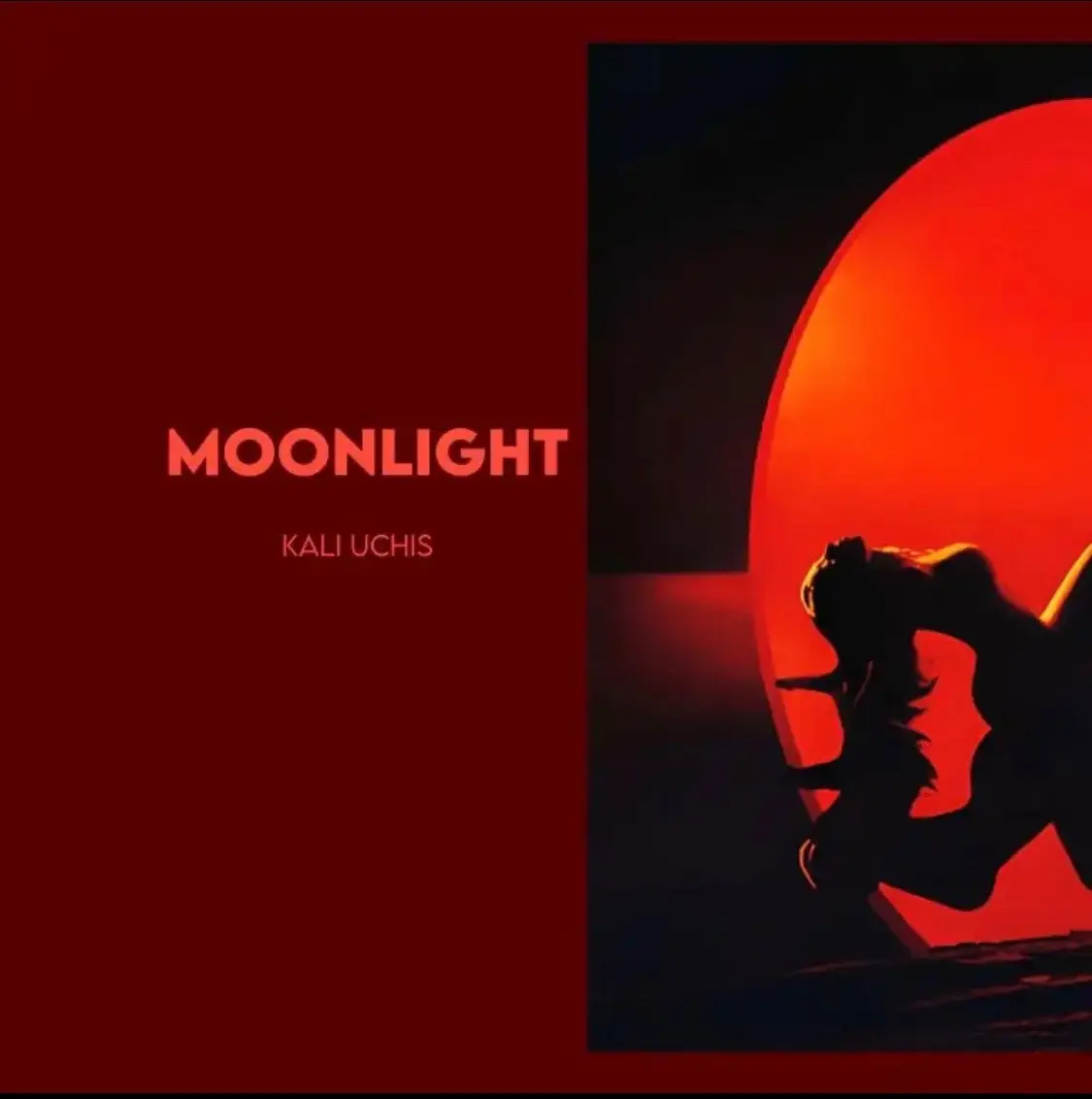 Moonlight - kali uchis #kaliuchis #moonlight #lyrics #music #tiktok #fy #songs #trending #ovbsurfav #trend #tyforwatching 