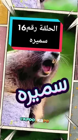 مسلسل السنجاب الضاحك الحلقة رقم 16.. الاسم الرابح : سميره #ضحك #فرفشه #وناسه #مقالب_مضحكه #ضحك_وناسة #مقاطع_مضحكة 