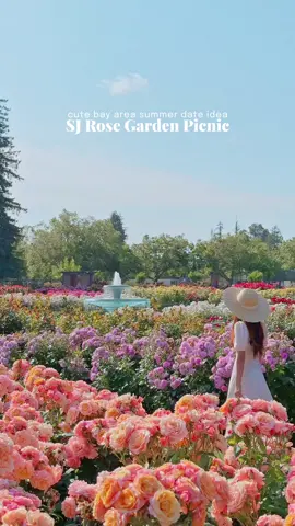 your sign to go on a summer picnic #bayarea #sanjose 