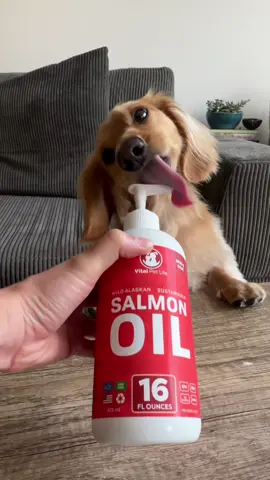 It's time to be honest with you guys... Turns out I'm not perfect! Mom started giving me Salmon Oil from @Vital Pet Life to help improve some of my...um, shortcomings (no pun intended). The omega 3 fatty acids help support my overall health including skin, joint & immune support! Use code 