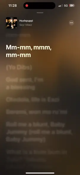 Hushpuppi (Lyrics) 🎶 🎼 🎵  #fyp #viral #foryou #seyivibez #fypシ゚viral #foryoupage 