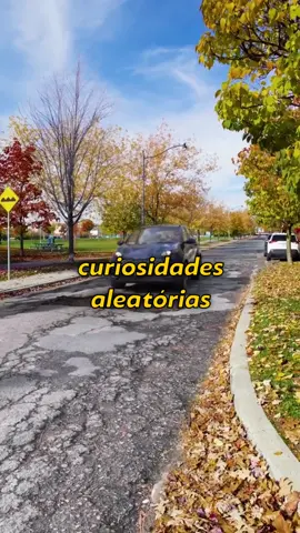 Sabia disso? 🧠 #curiosidades #curiosidadesaleatorias #fatos #sabedoria #conhecimento #videossatisfatorios 