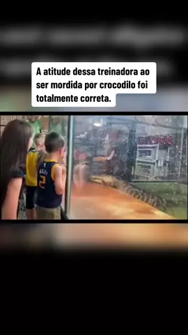 O que fazer em uma situação dessas? Assista o vídeo | #jacare #mundoanimal #fy 