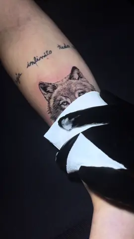 Lobo minimalista🐺 #tattoos #tatuagem #tattooartist #tatuador 