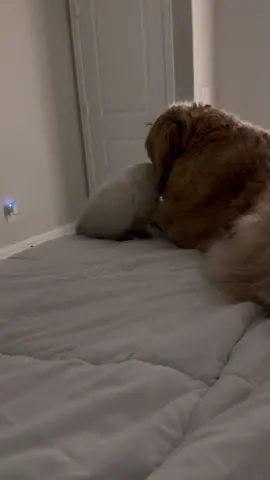 Ian gradually getting closer and closer to Lucy 