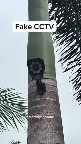 #fyp #mommyannkobe #fakecctv 