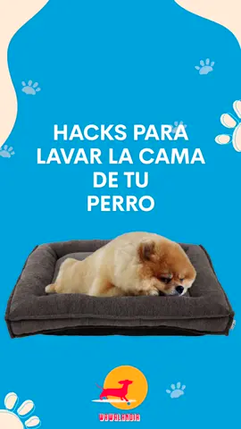 Si la cama de tu perro quieres lavar, este HACK debes aplicar 🐾🐶👌🏻 #fy #fypシ #parati #mascotas #perros #doglover #perrostiktokers #perritos #veterinario #tips #hacks #amomiperro #perrostiktok #loaprendientiktok #loaprendienwawalandia #wawalandia #wawalovers 