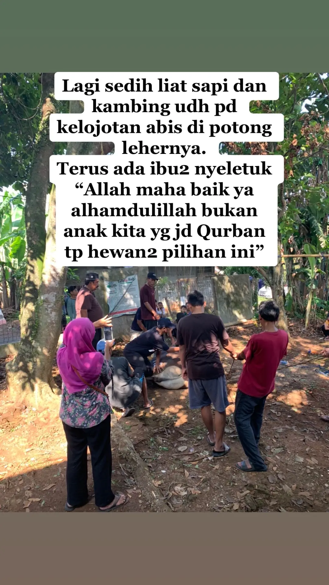 Ayoo kisah nabi siapa yg anaknya mau di sembelih? #qurbani2023 #qurbansapi #nabiismail_as #nabiibrahim 