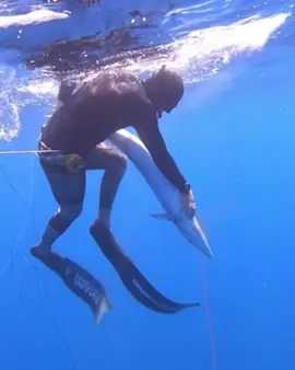 #HanterSpearfishinglife  #spearfishing #fishing #catchingfish #lobster #GiantFish  #Hunting  #octopus🐙team💖 