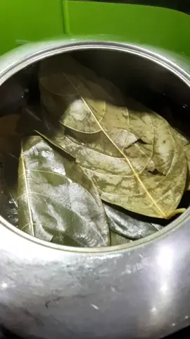 lá mít nấu uống lợi sữa. uống trước lúc đi sanh 3 ngày. và trong tháng. lá  khô thì 50 gram. lá tươi  100 gram. 2 lít nước nấu xôi lên tất lửa ủ 30 phút uống ấm trong ngày 