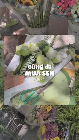 Sen xinh giá cũng xinh 🤍 #flowers #fyp #foryou 