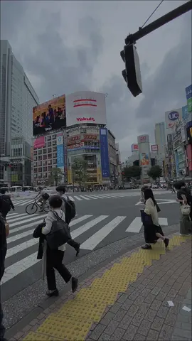 Negara impian para wibu😍🇯🇵😁#animejapan #japan #japanvibes #anime #fyp #viraltiktok #japan #akiba #akihabaratokyo #beranda 