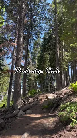 🌿🏔️🌲 #parkcity #parkcityutah #silverlake #silverlaketrail #deervalleyutah 