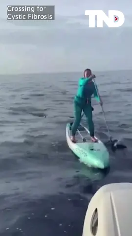 A Hammerhead shark gets too close for comfort. ⚠️ 🦈  2 paddleboarders were making the trek from the Bahamas to Florida when a hammerhead shark appeared.  Within minutes of the shark encounter, they safely resumed their journey to Florida.