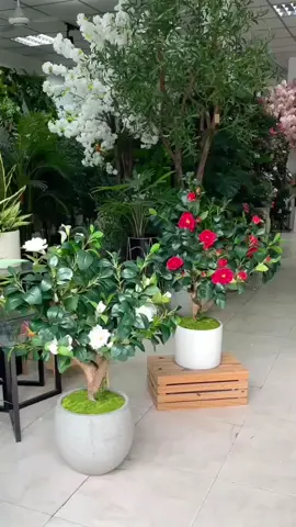 Tự tay làm cây hoa trà cực đơn giản, trang trí nhà nào các bác. https://seller-vn.tiktok.com/product/manage #hanmade #landecor  #cayhoatrangtri  #hoagiatrangtri  #caygiadecor