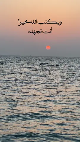 أقدار الله جارية علينا #لوجه_الله_تعالى 