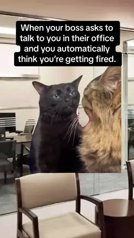 It’s always something stupid and not serious too. 😅 #blackcat #blackcatzoningout #zoningout #zonedout #catmeme #fyp #4u #foryou #fypシ #catsoftiktok #CapCut #worklife 