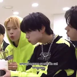 more clips bc i forgot to include it in my last vid 🤗 #jungwon #yangjungwon #enhypen #jungwonenhypen 