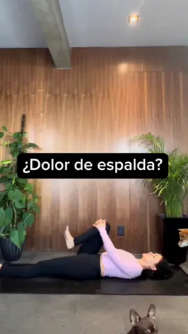 Beneficios de Supta Matsyendrasana o Torsión Espinal Supina: •Elimina dolores y tensión en la espalda. •Lubrica y mejora la movilidad de la columna vertebral. •Desintoxica el cuerpo. •Estira los músculos de la espalda, gluteos, pecho y abdomen.  •Mejora la digestión ya que estimula los órganos del aparato digestivo. •Ayuda a aliviar los cólicos menstruales.  •Es efectiva para eliminar el estrés, la ansiedad y regular el Sistema Nervioso, activando el Sistema Parasimpático.  Contraindicaciones: Esta postura debe evitarse cuando hay lesión o cirugía de espalda, cadera, hombro o rodilla.  Si te gustó, compártelo con alguien que pueda necesitarlo. ✨ #yoga #dolordeespalda #salud #bienestar