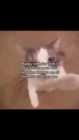 Its my birthday today!! Happy birthday to me 😘🎉🥳🎊 #birthday #happybirthday #bestie #happy #cat #cattok #catmeme #wishes #xyzbca #foryou #fyp 